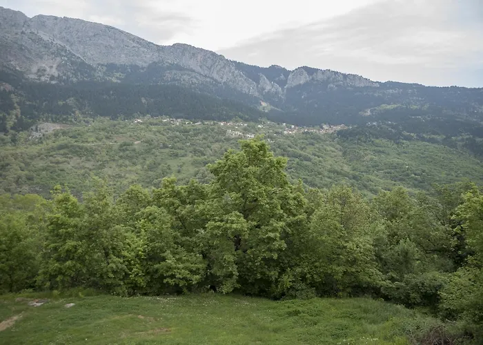 Archontiko Christodoulou Aparthotel Vronteron (Thessaly)